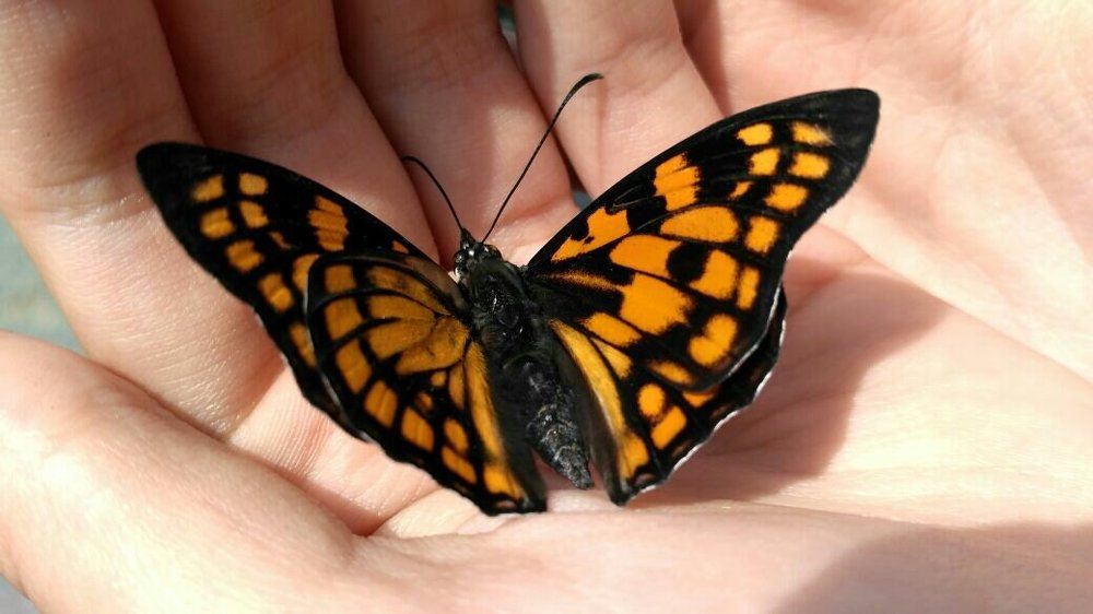 Photograph by Елена Дюганова