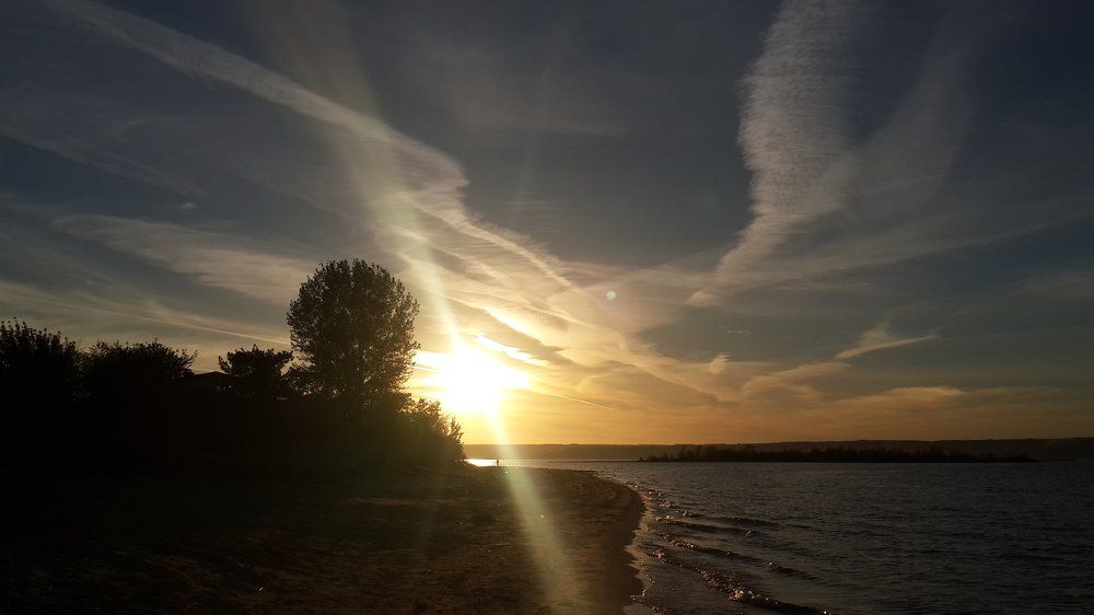 Photo #1450152