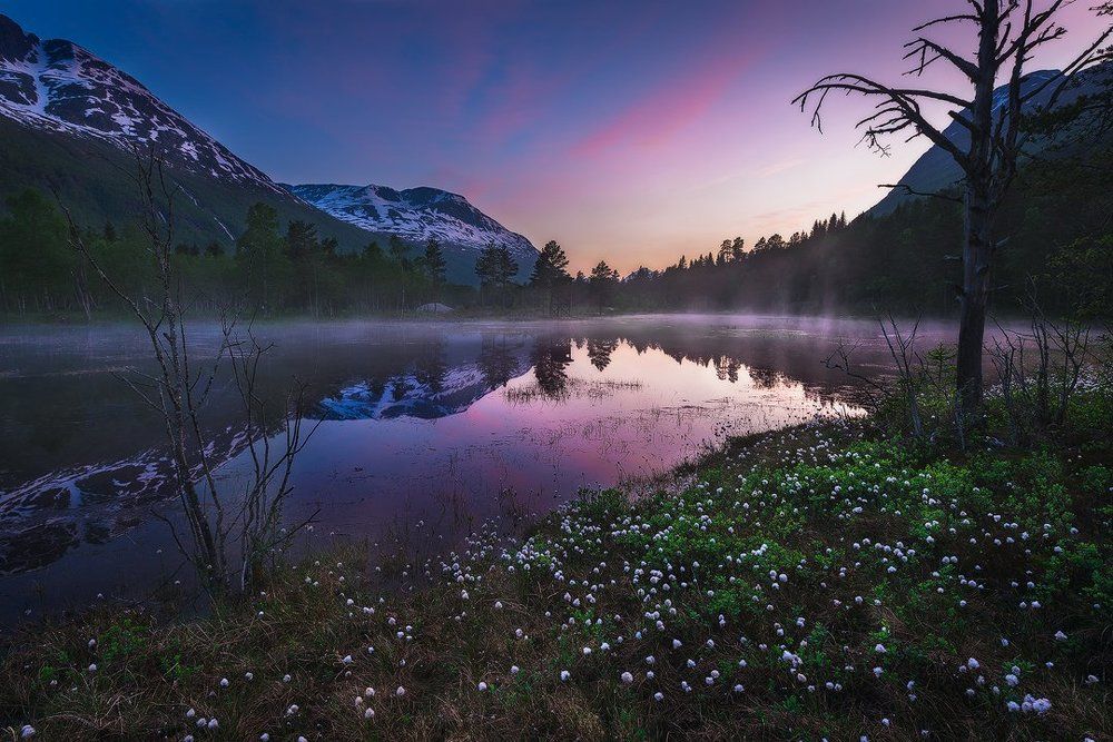 Осколки заката