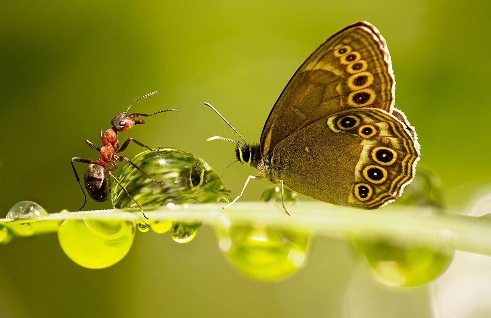 А мы капельку нашли...