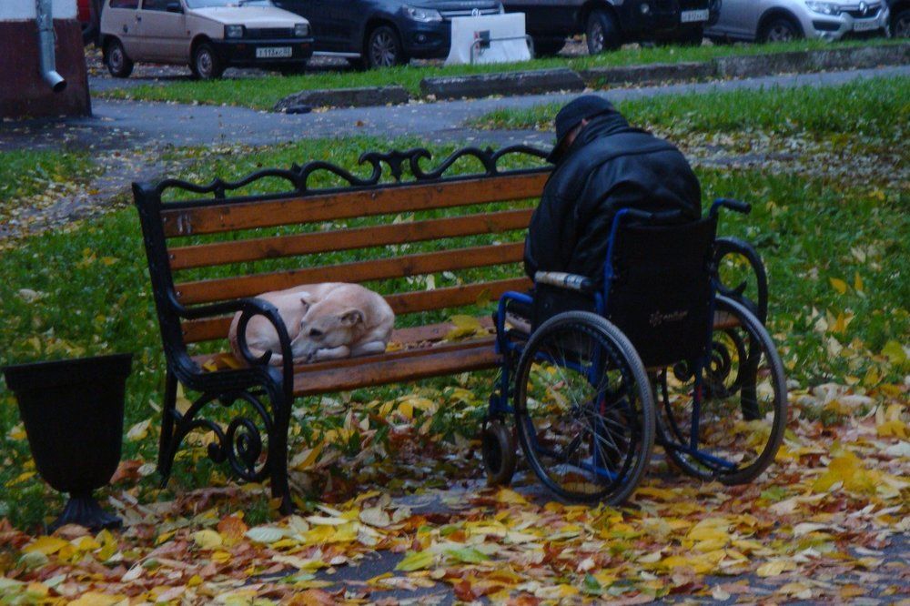 Осень, бывает и такая...грустно...