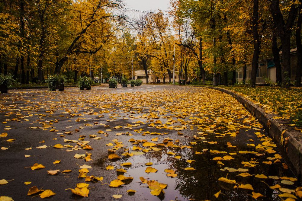 Бабье лето:)