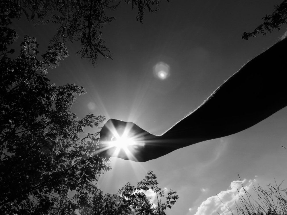 Photograph by Соломка Сергей