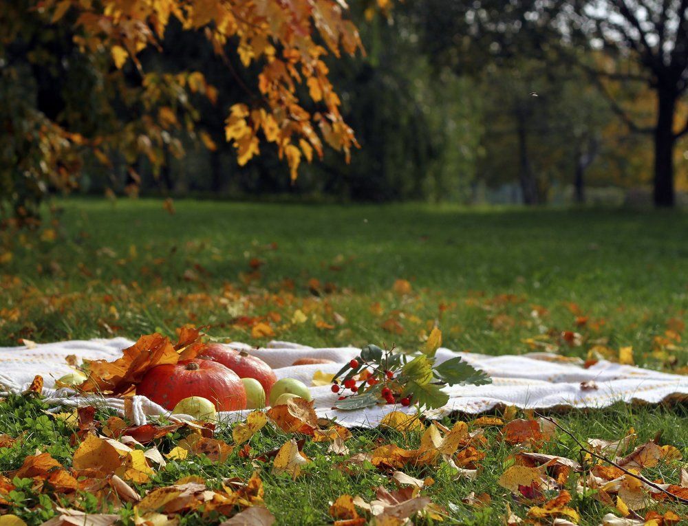Плоды осени