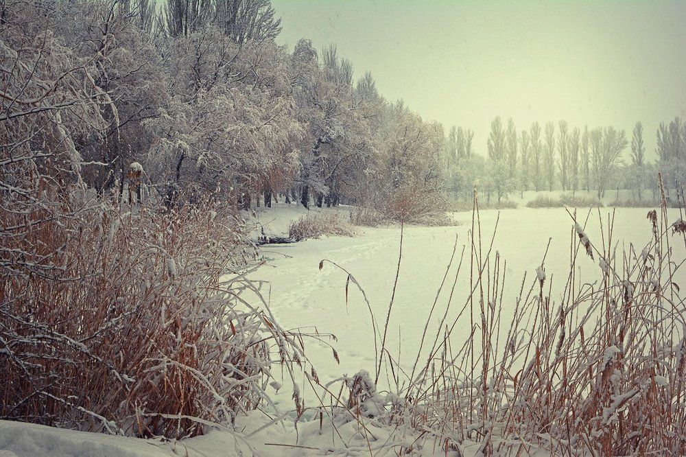 Зимняя зарисовка