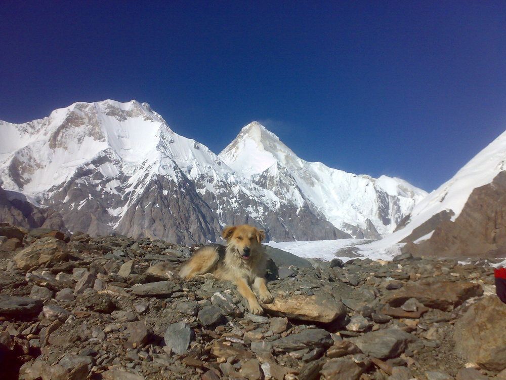 Наш друг пес Чебурек на фоне гордого Хан-Тенгри (7010).