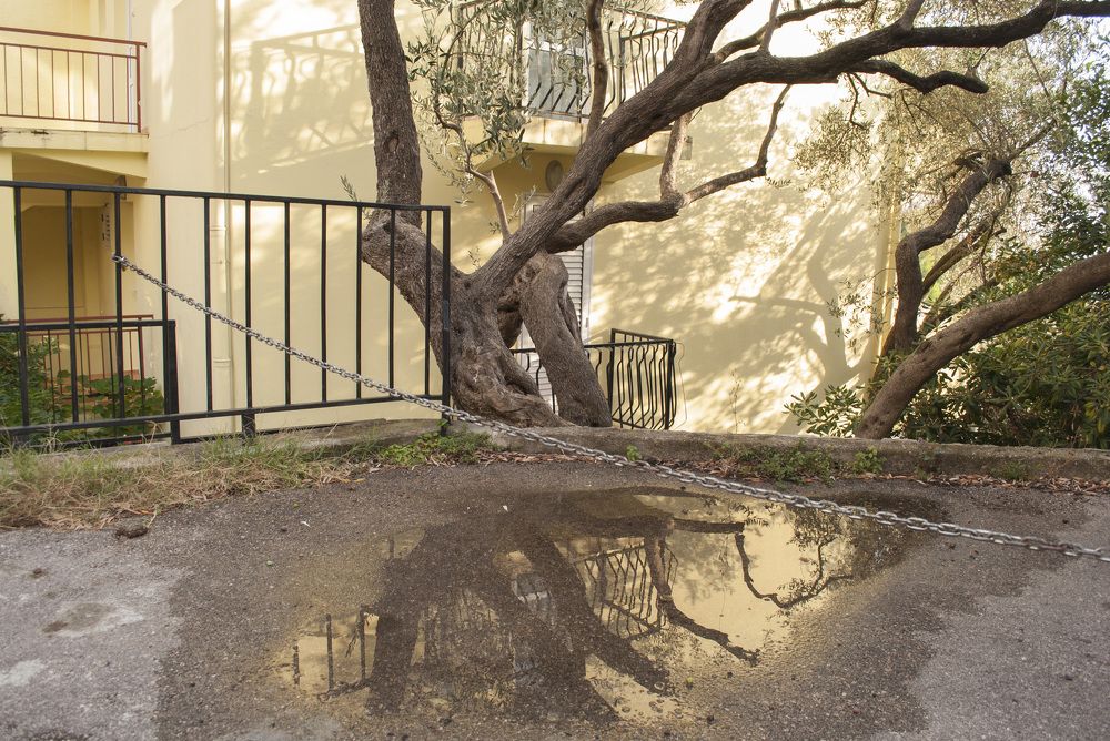 Photograph by Александр Казанцев