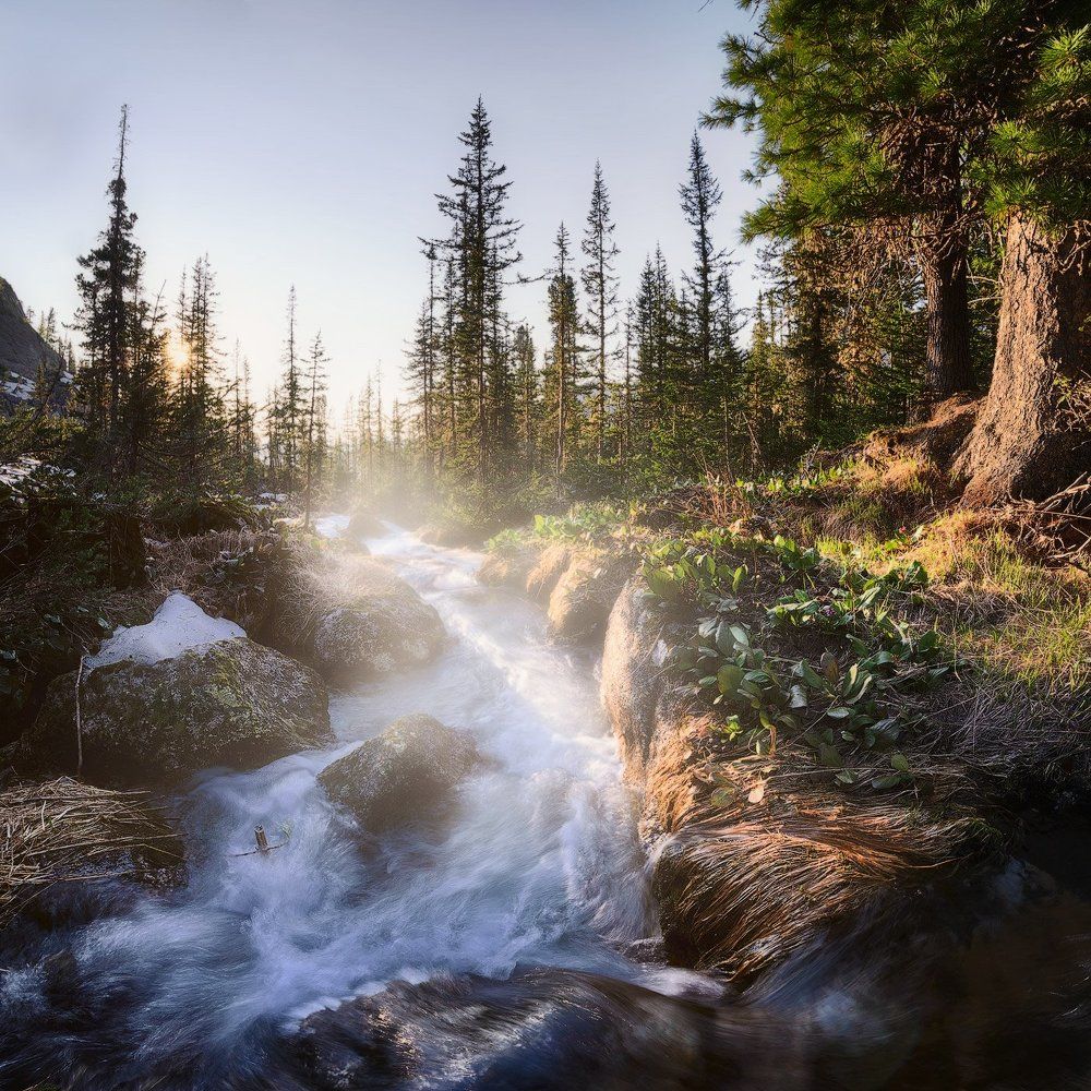 "У таёжного ручья"