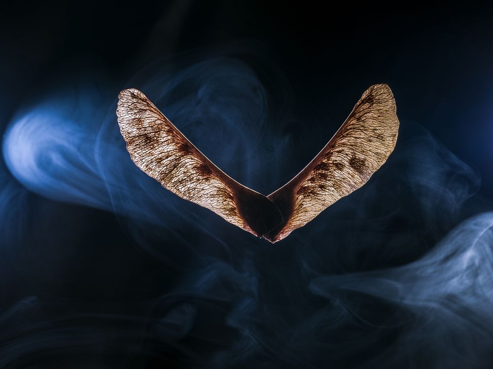 Photograph by Александр