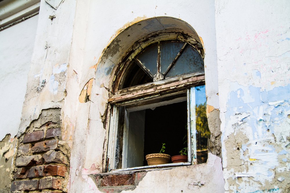 Томский прованс / Tomsk Provence