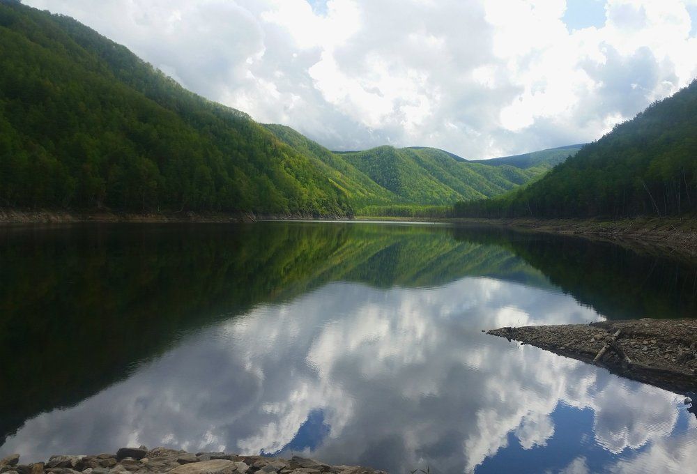 Зейское водохранилище летом