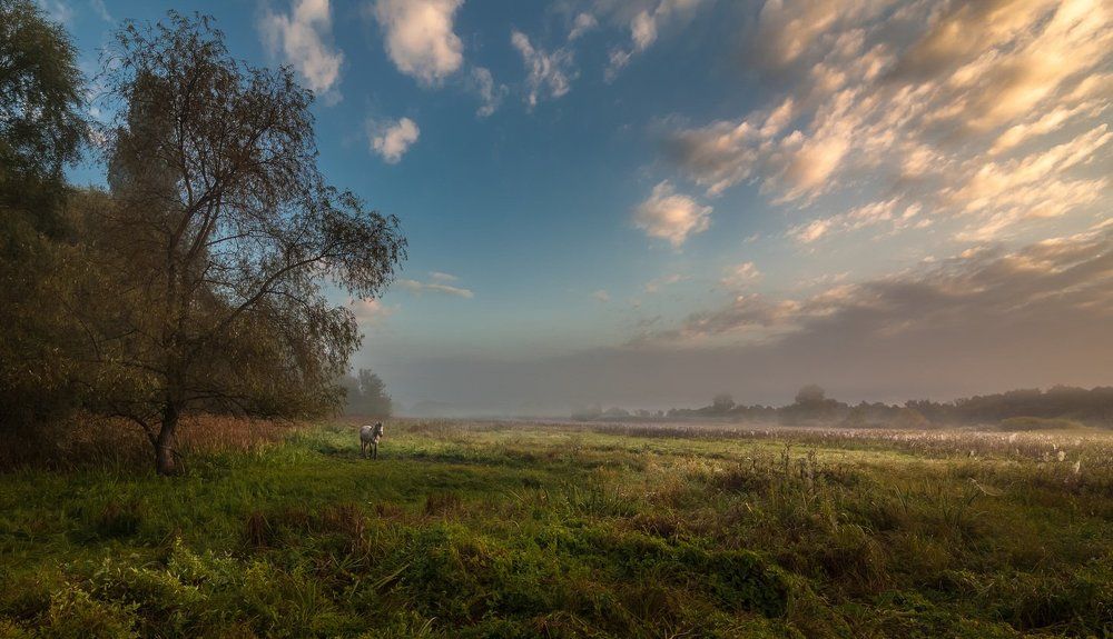 Серебристое утро