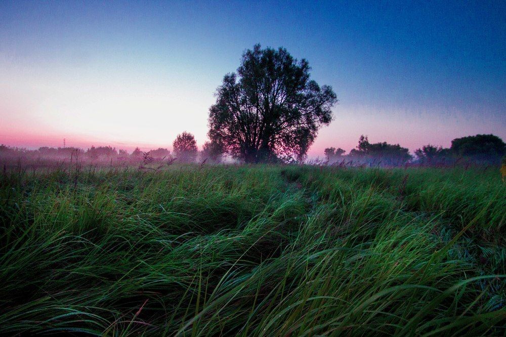 Туманный закат