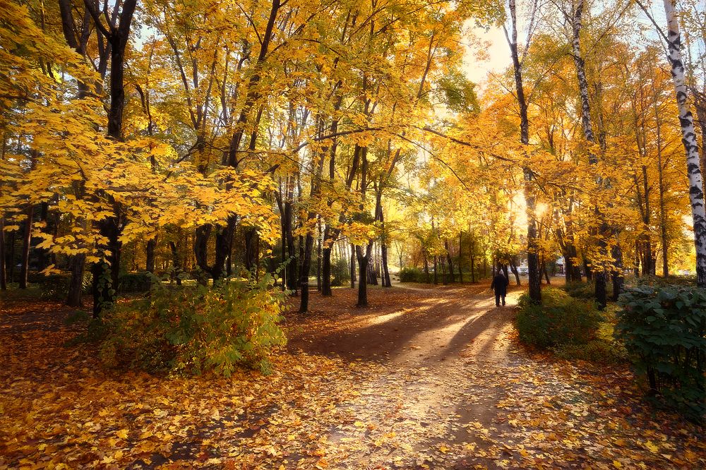 Осенний парк