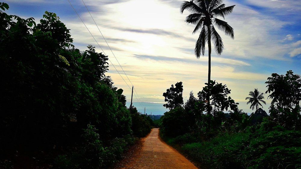 Sunrise