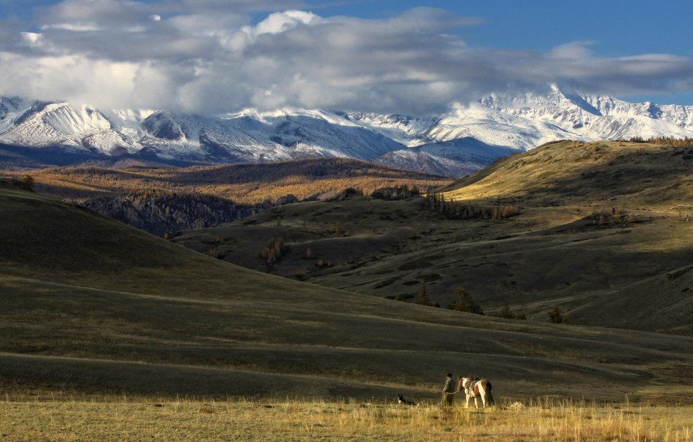 Алтайские будни