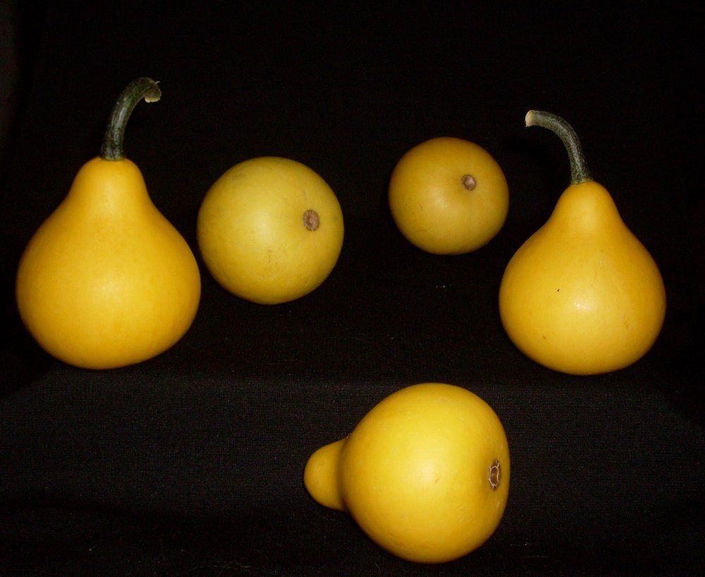 Груши