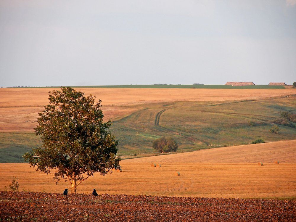 Photograph by Мирон Петаев