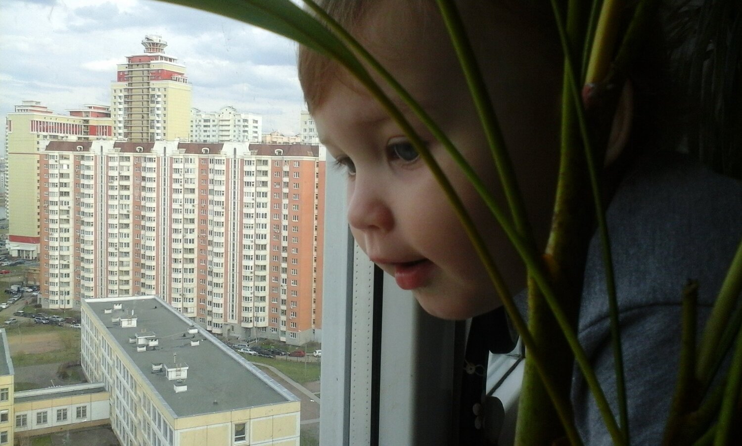 маленький человек смотрит в большую жизнь... маленький человек смотрит в большую жизнь...