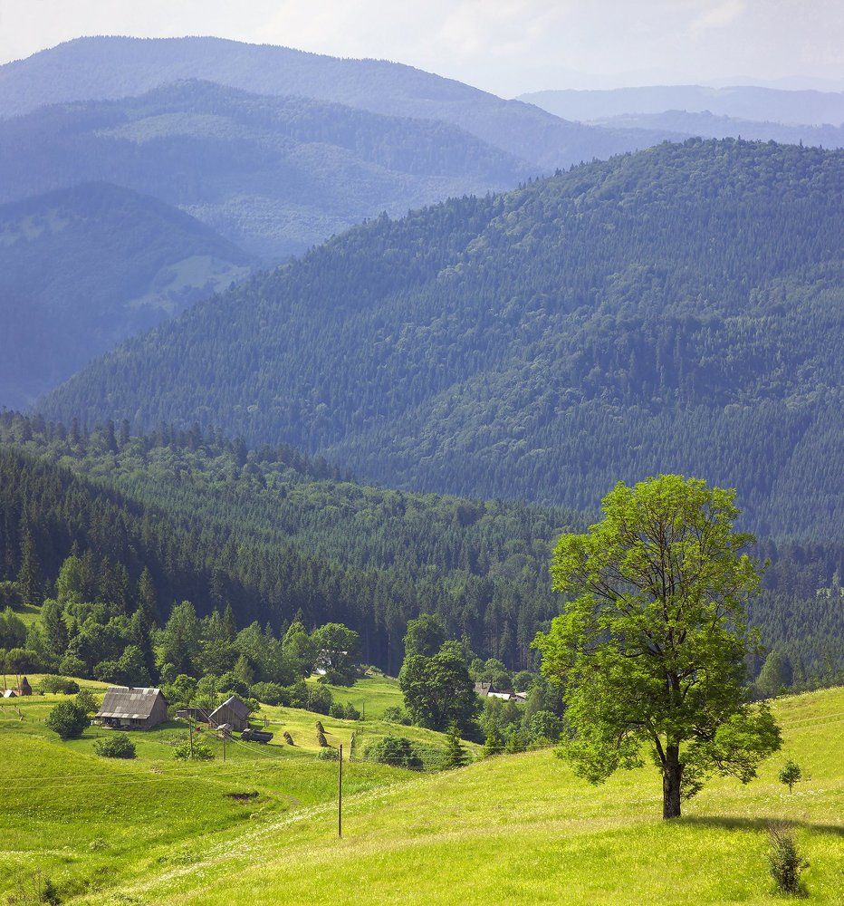 Лето в горах