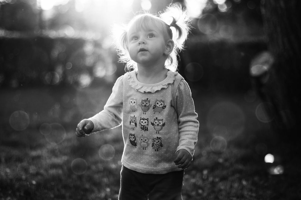 Лесные зайчики