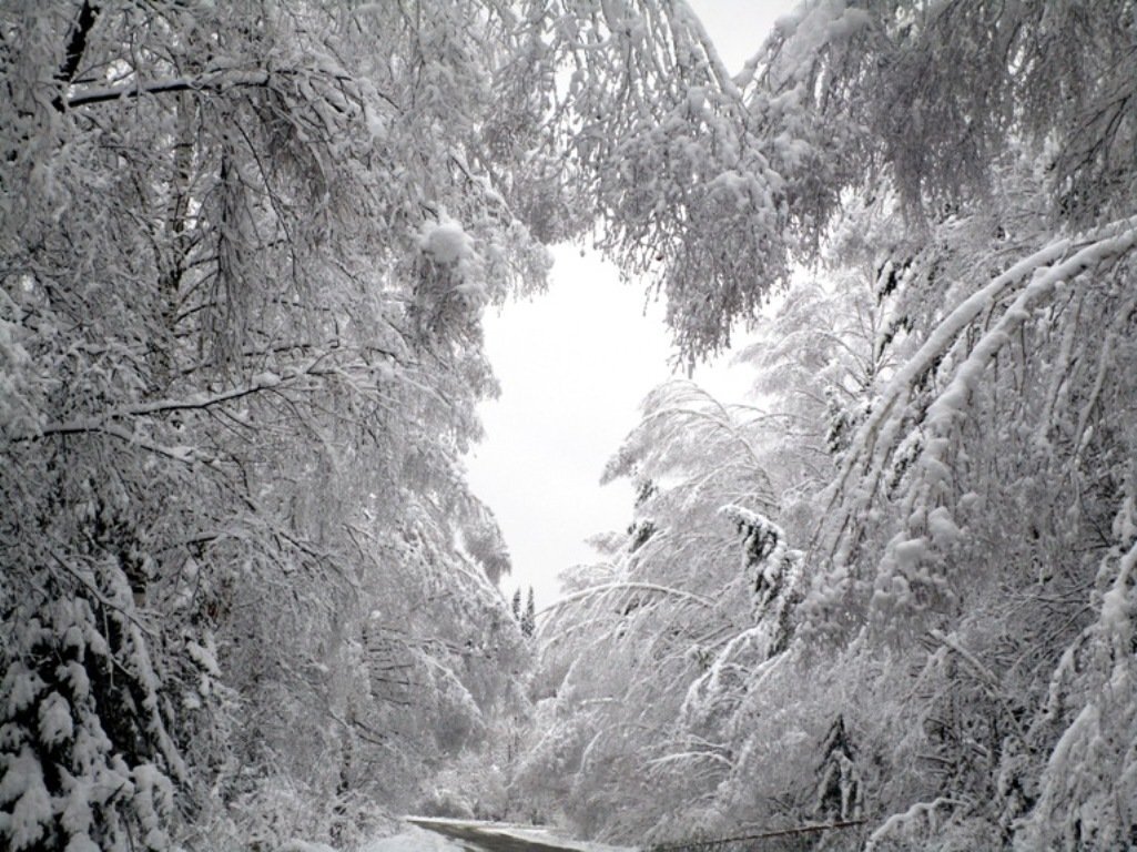Снежное царство