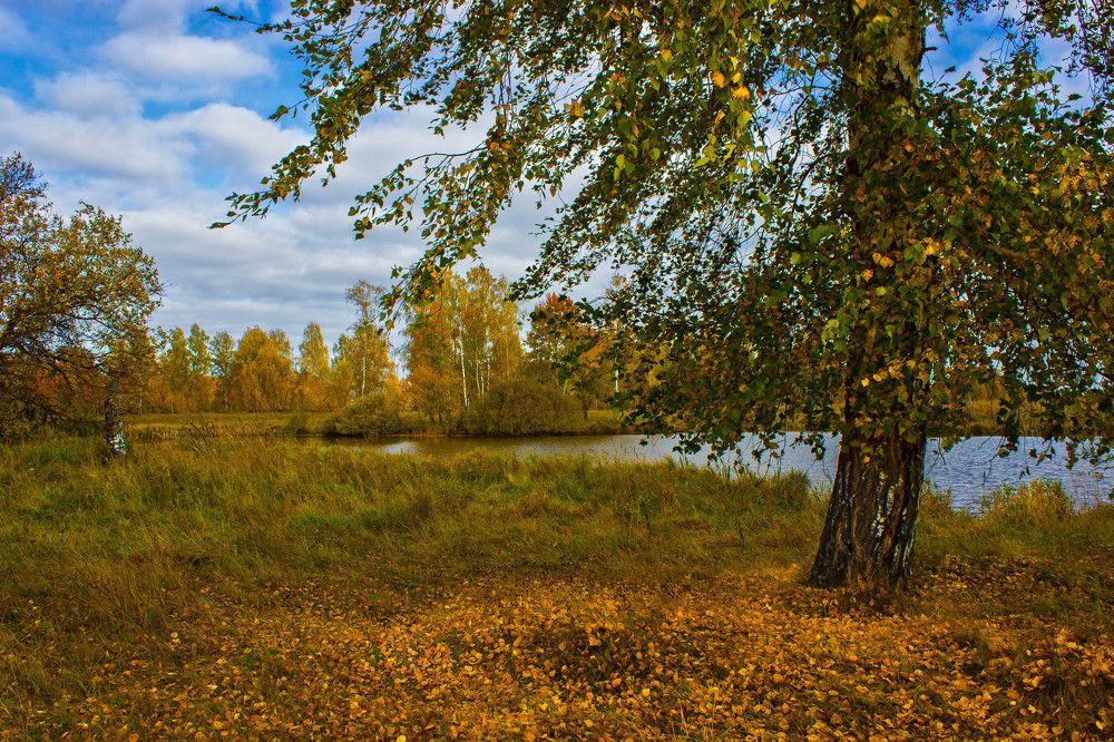 Краски осени