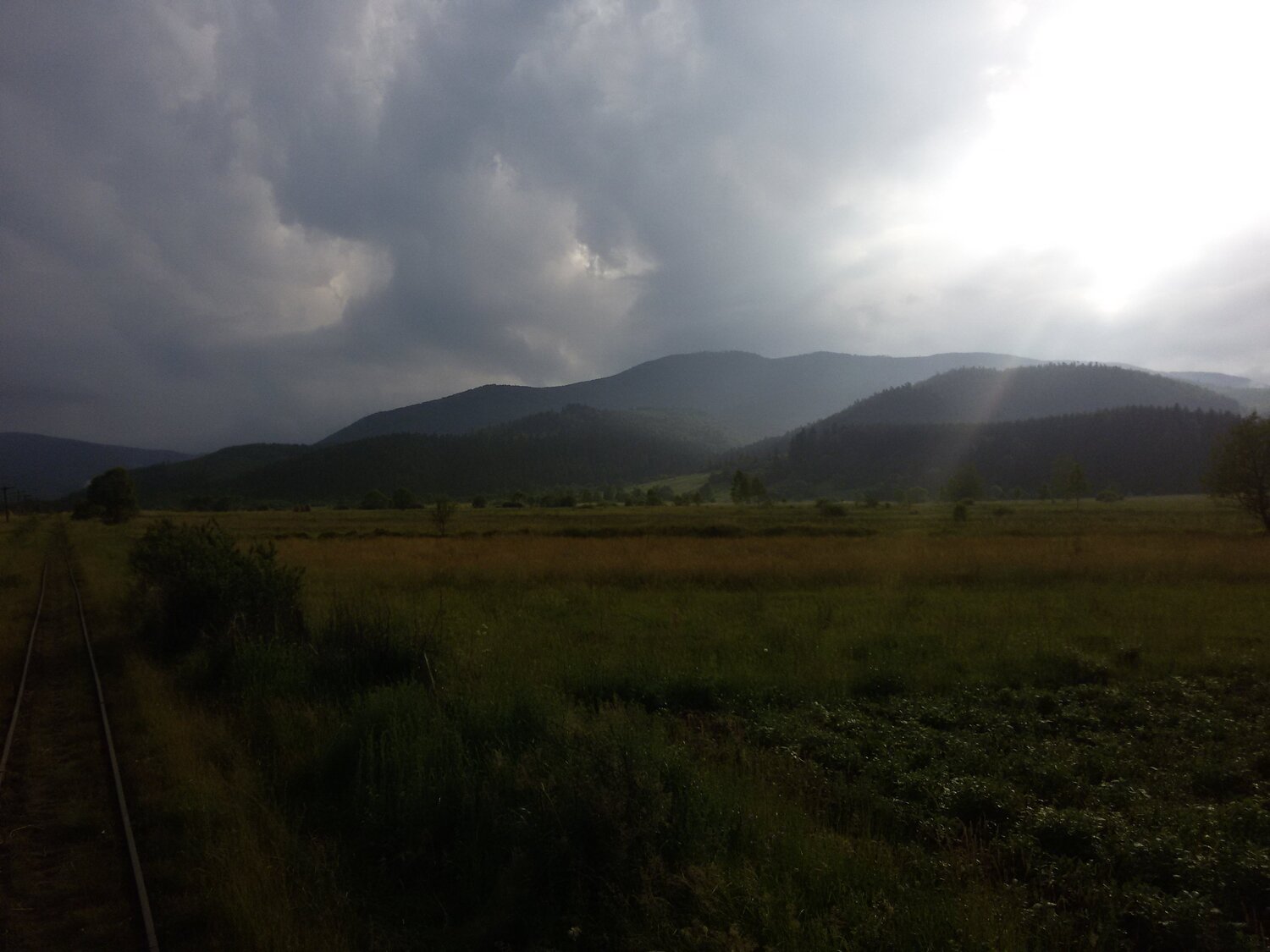 Літнім ранком