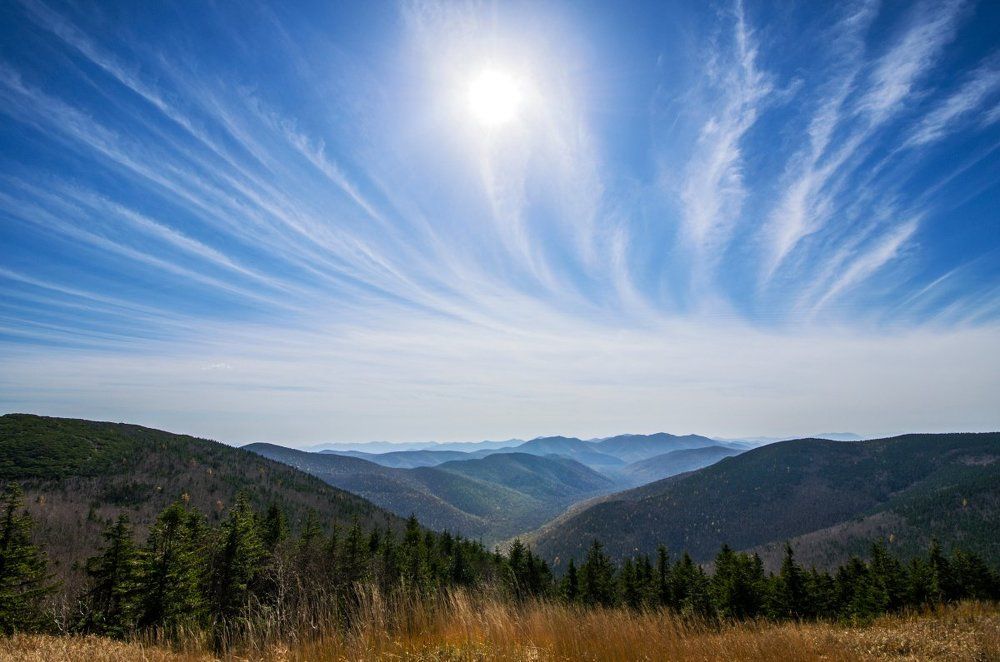 Перистость