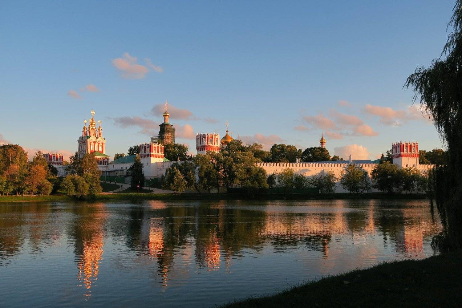 Акцент розового