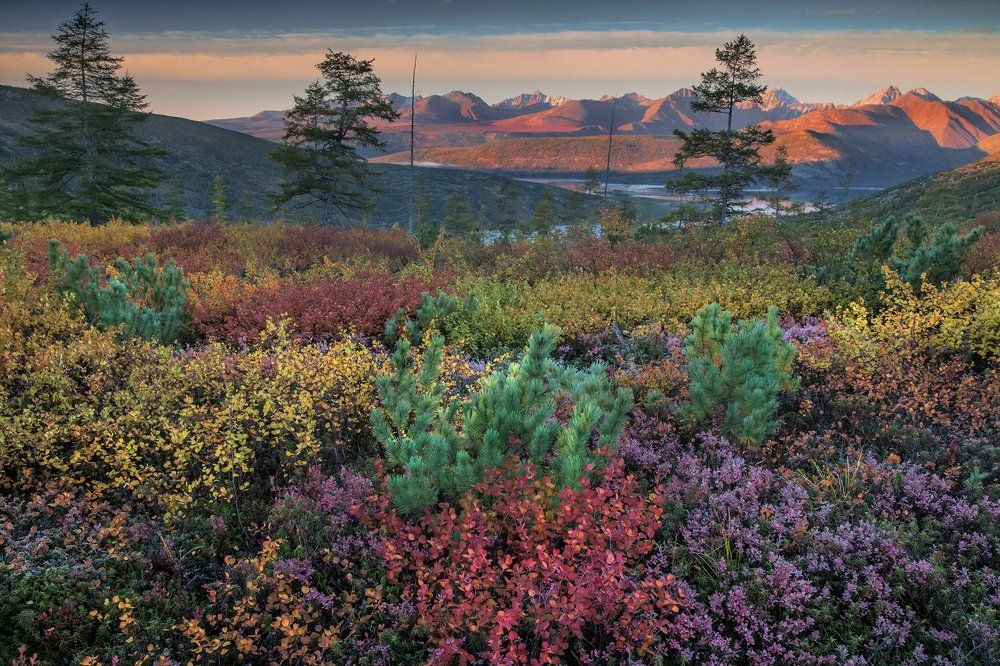 Осенняя палитра