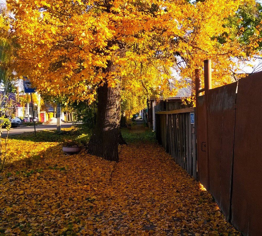 Осень в старом городе