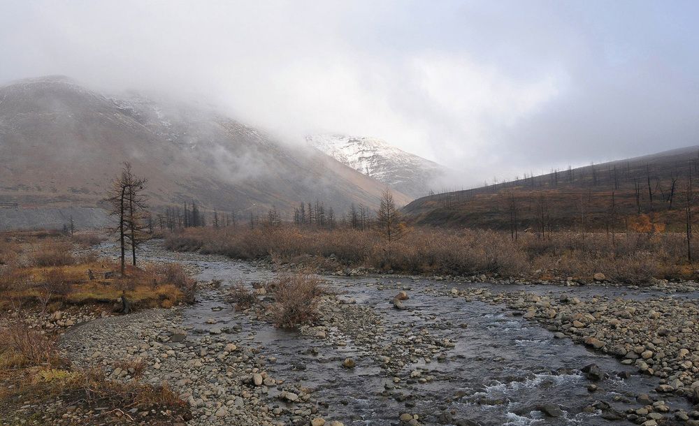 Осени серость