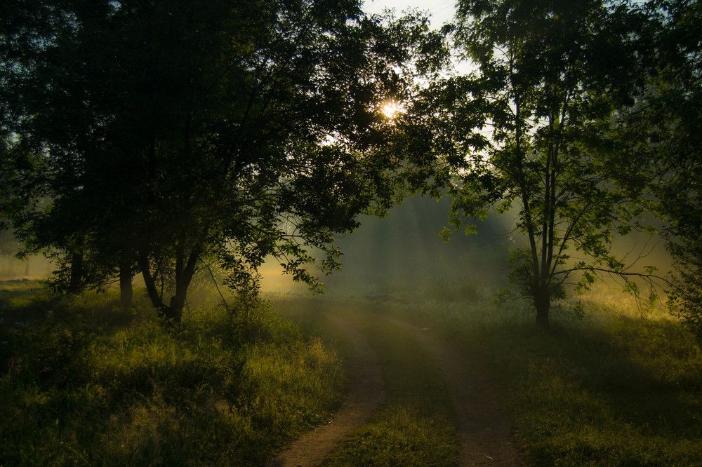 Рассветный час