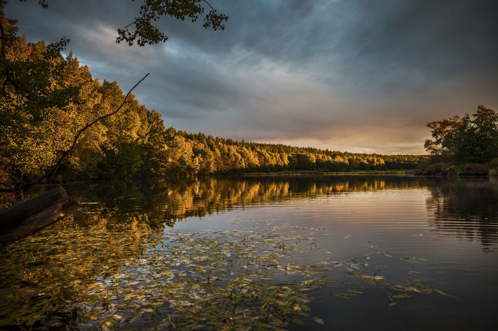 После дождя