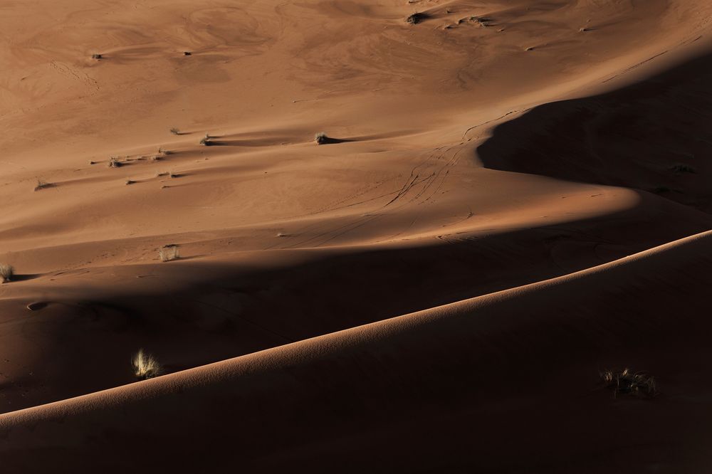 Сахара на рассвете