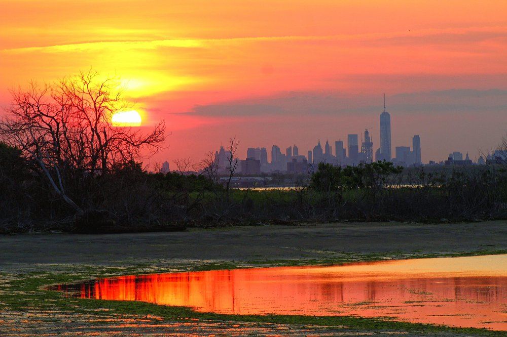 Перед закатом бледнеет всякий город.