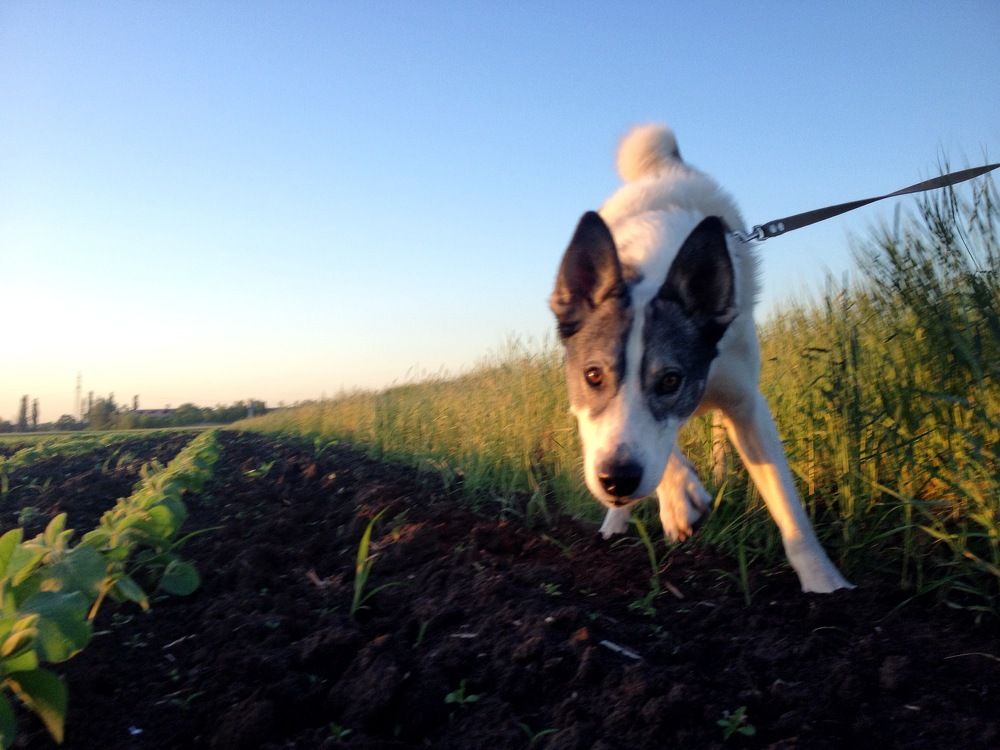 на прогулке