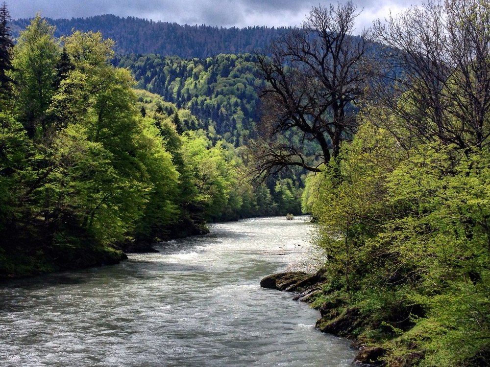 Photograph by Полина Синельникова