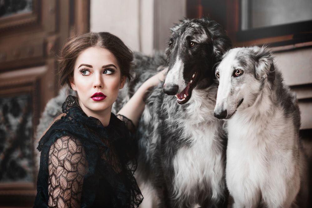 Русские борзые