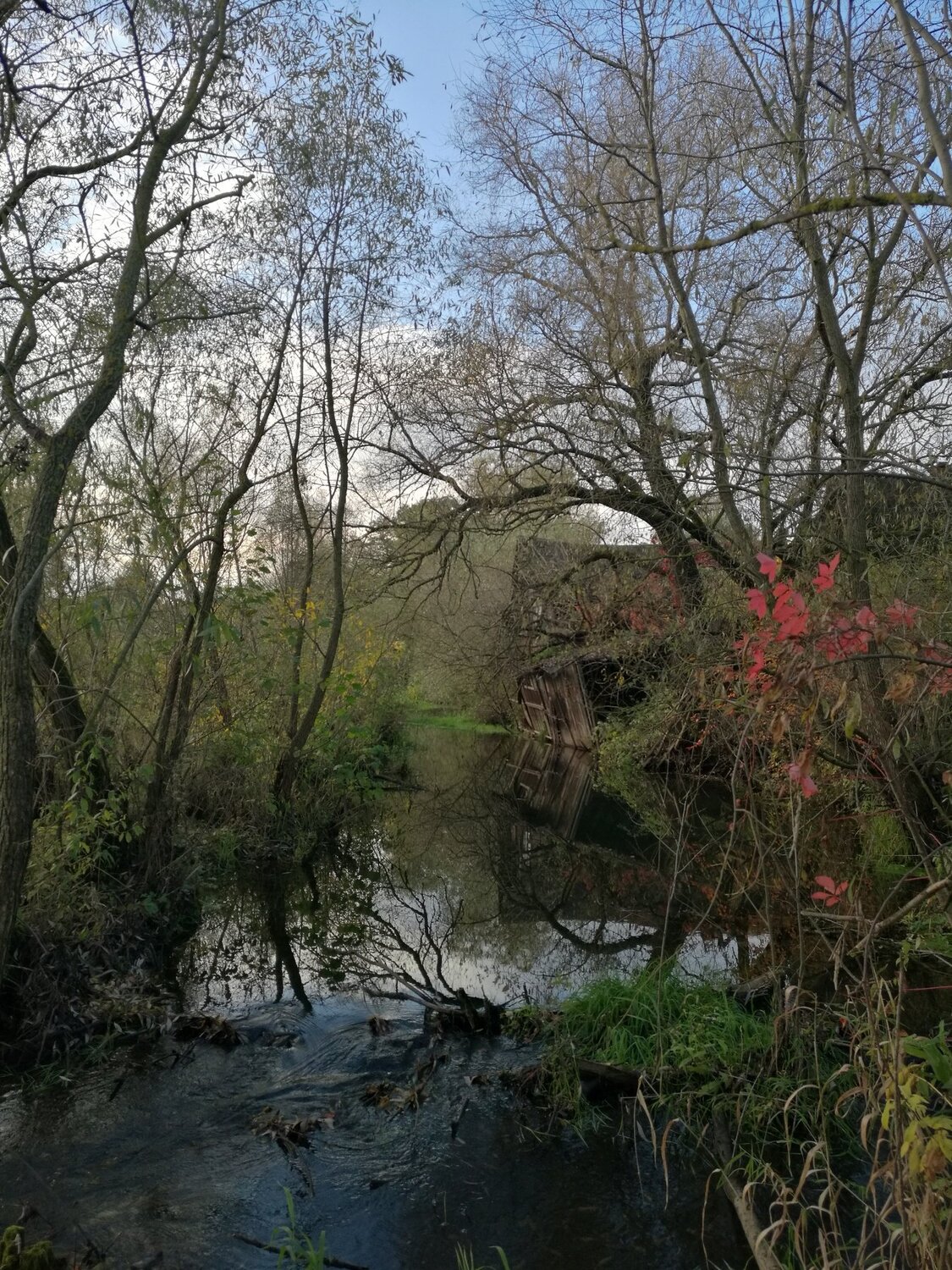 Старый дом