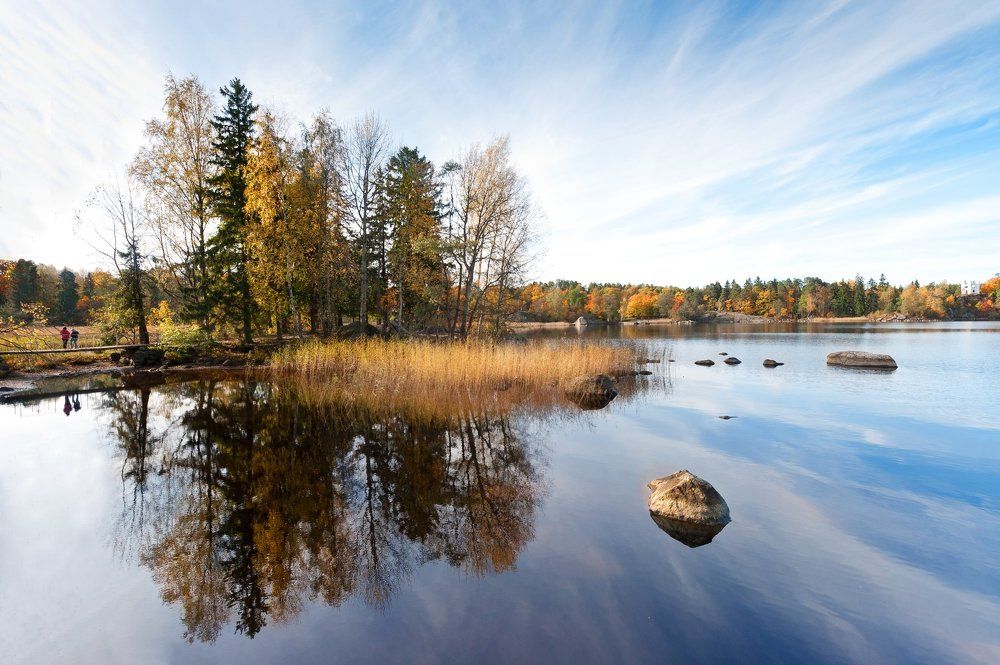 Парк Монрепо