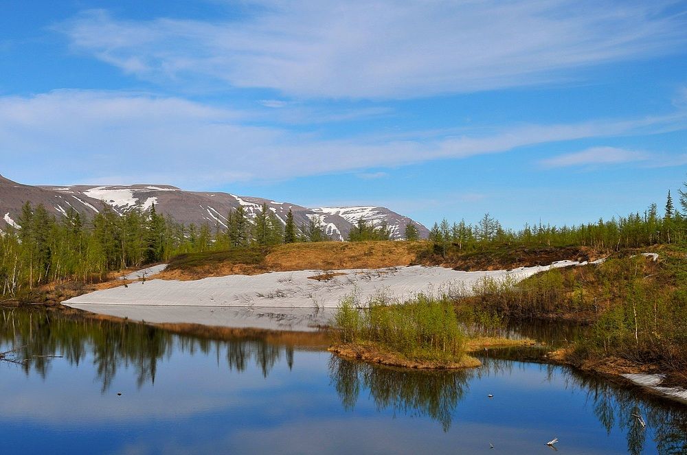 Июнь на Таймыре