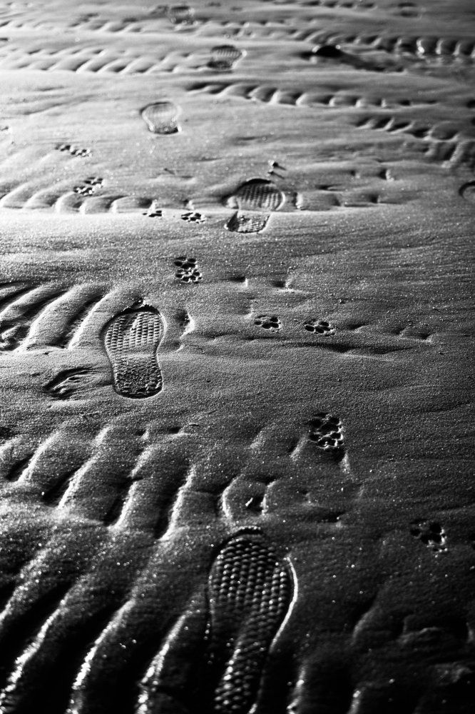 Landing on the Moon.