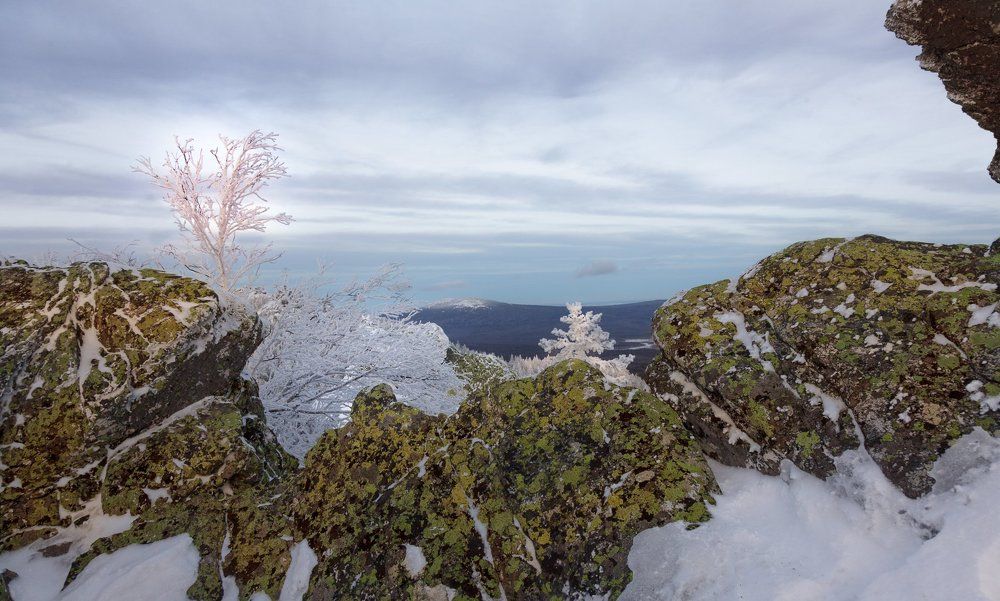 Обледенелые