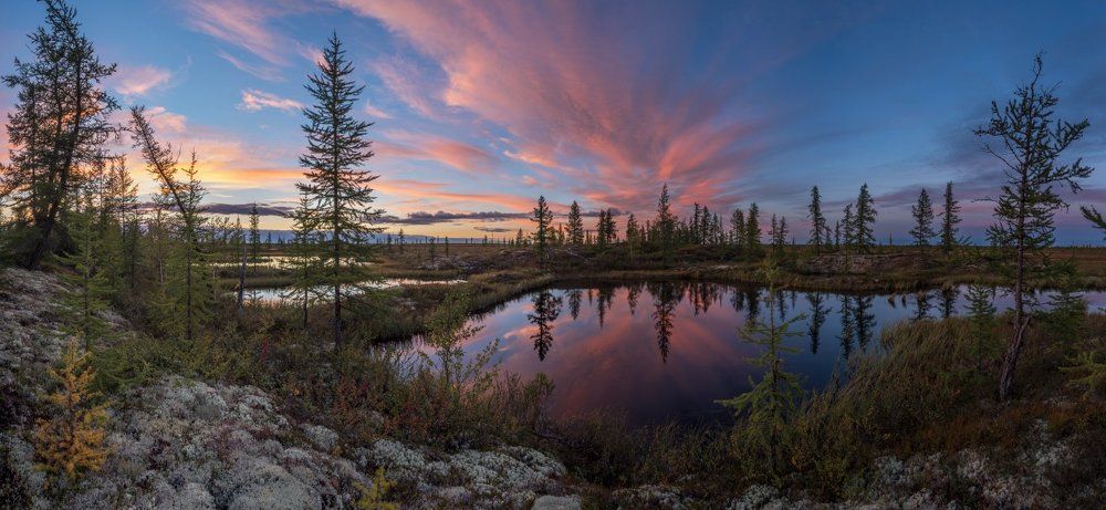 Летний вечер