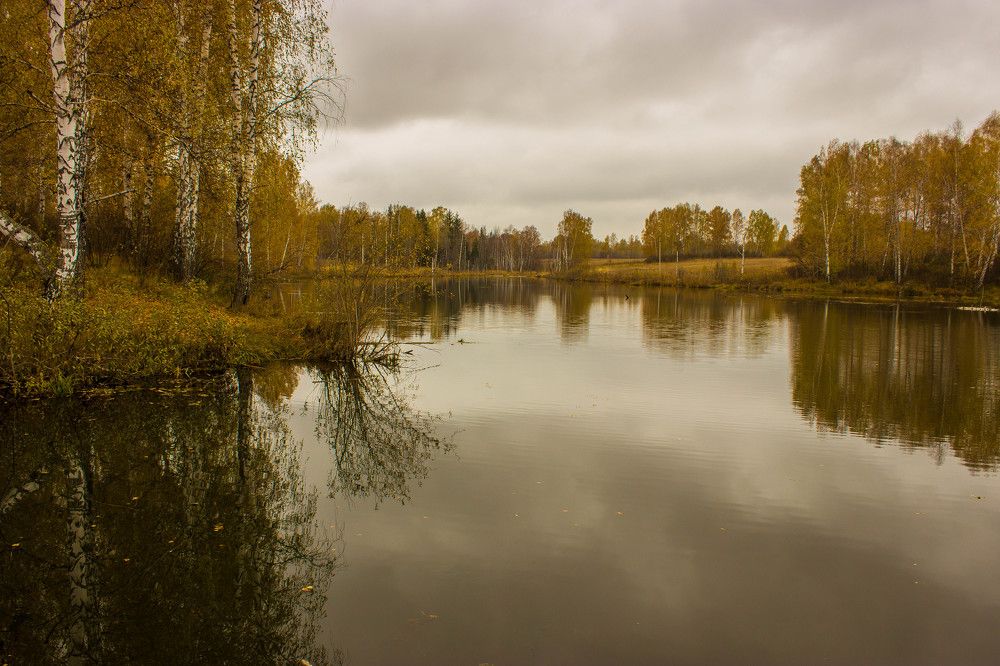 Осенний пруд