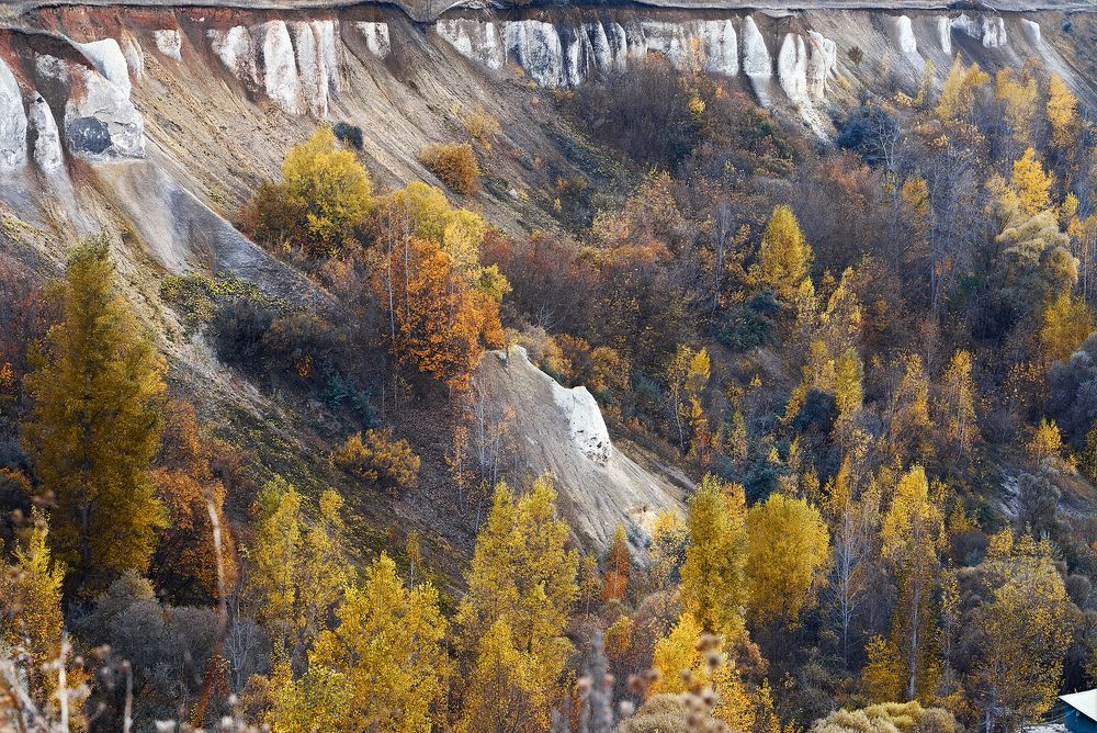 Осень в Белом Колодце