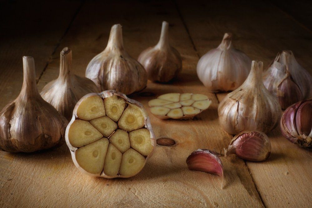 чесночный этюд