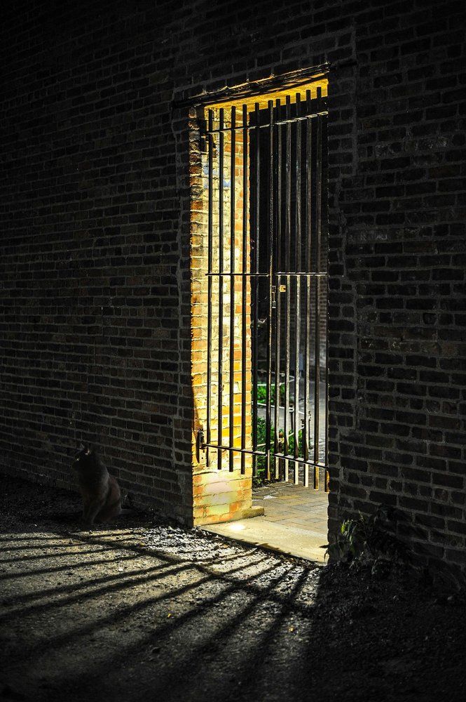 Условно освобожденный